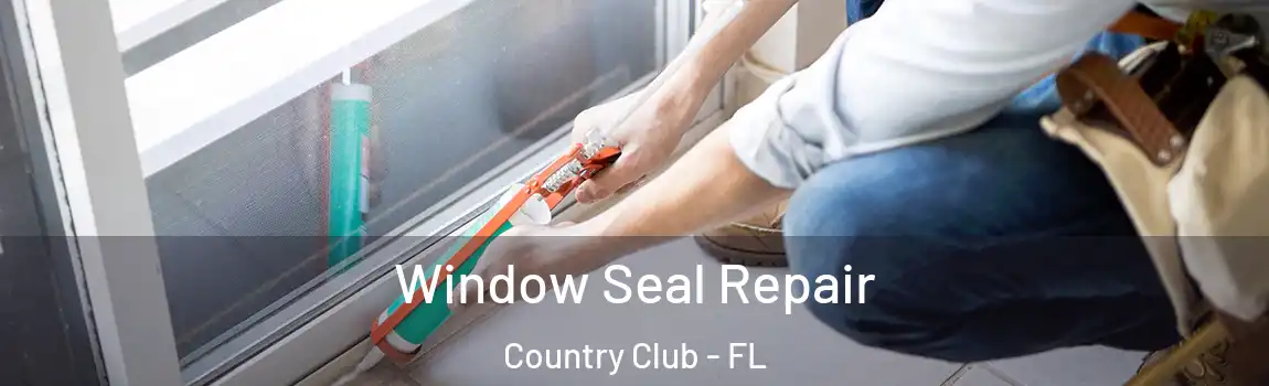 Window Seal Repair Country Club - FL